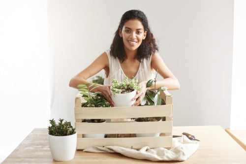 Organic Foundations Deliver Coverage With Plant-Based Actives