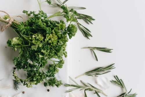 How Botanical Ingredients Support Healthy-Looking Skin