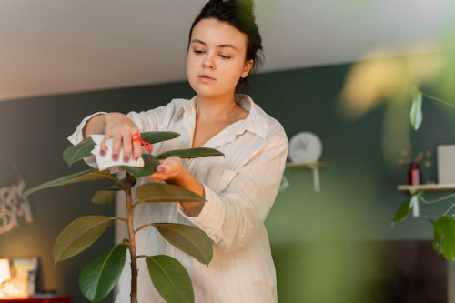 How Clean Beauty Fits Sustainable Living