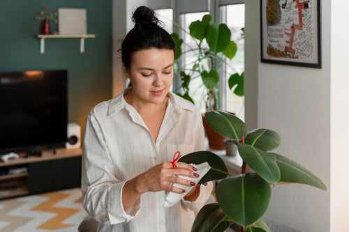 How Botanical Ingredients Support Comfortable Daily Makeup