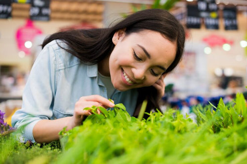 Vegan Cosmetics Market Expands with Plant-Based Innovations Across Asia