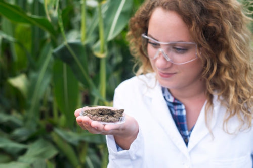 Biotech Advances Enable Vegan Alternatives to Traditional Animal-Derived Compounds