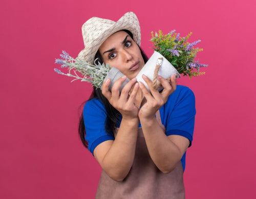The Environmental Impact of Traditional Beauty Products