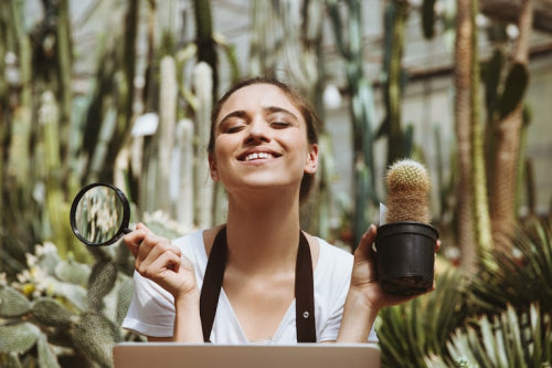 The Global Growth of Organic Cosmetics and Natural Makeup Products